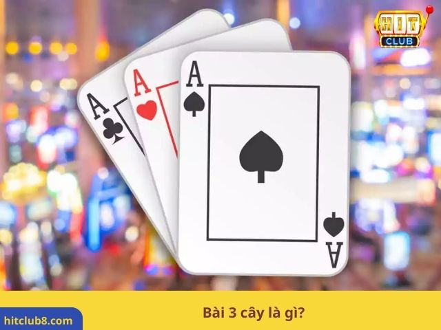 Bài 3 cây là gì?