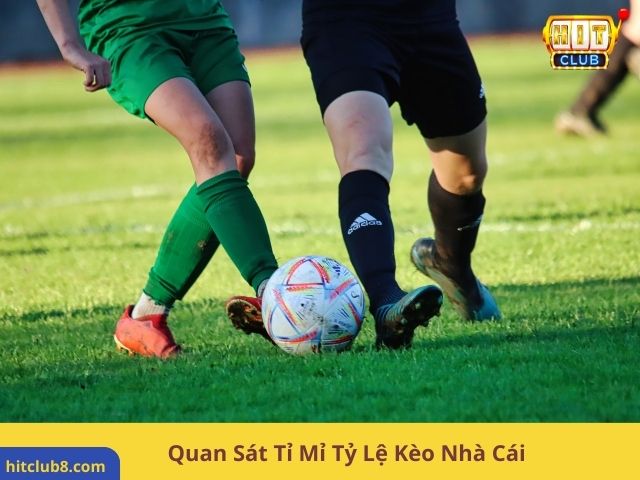 Quan Sát Tỉ Mỉ Tỷ Lệ Kèo Nhà Cái