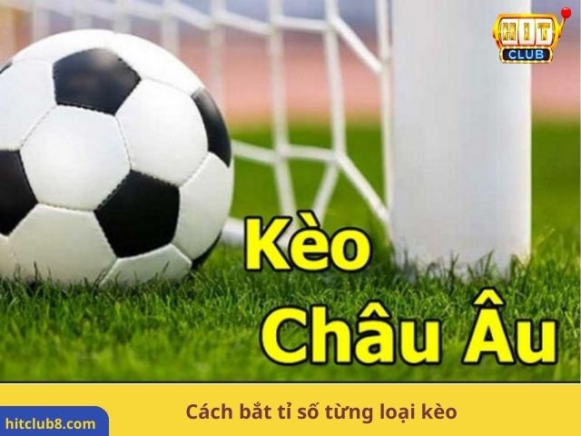 Cách bắt tỉ số từng loại kèo