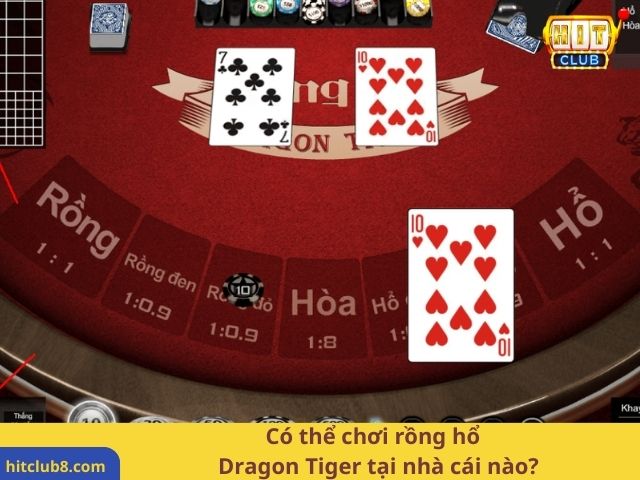 Có thể chơi rồng hổ - Dragon Tiger tại nhà cái nào?