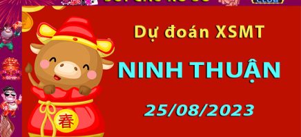 Soi cầu xổ số Ninh Thuận 25/8/2023 - Dự đoán XSMT cùng Hitclub