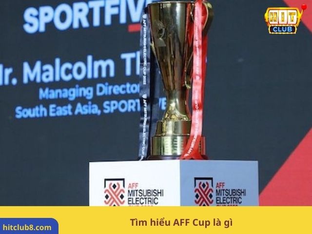 Tìm hiểu AFF Cup là gì