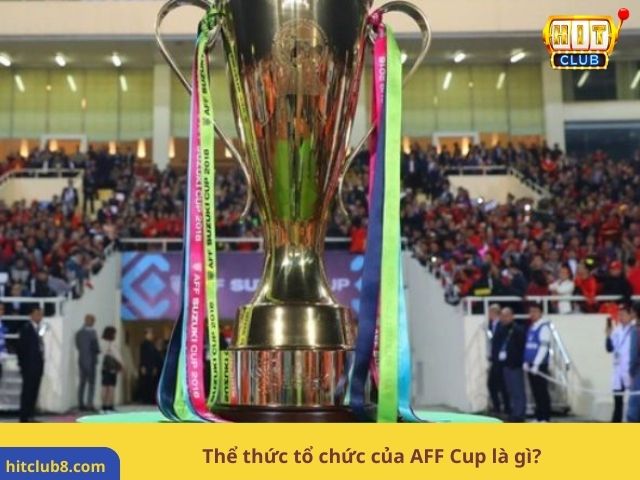 Thể thức tổ chức của AFF Cup là gì?