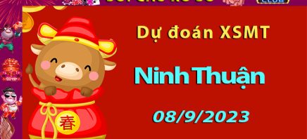 Soi cầu xổ số Ninh Thuận 08/9/2023 – Dự đoán XSMT ở Hitclub8