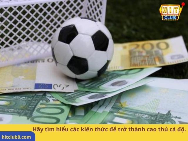 Hãy tìm hiểu các kiến thức để trở thành cao thủ cá độ.