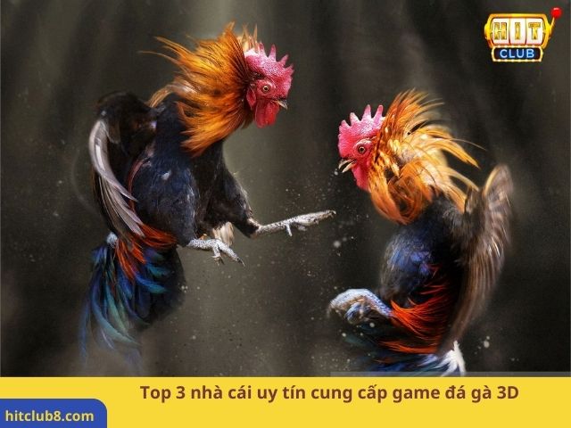 Top 3 nhà cái uy tín cung cấp game đá gà 3D 