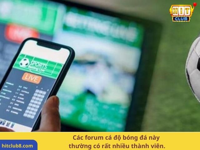 Các forum cá độ bóng đá này thường có rất nhiều thành viên.