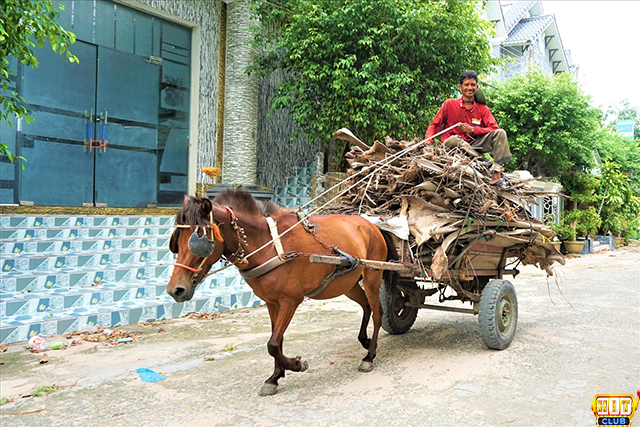 Mơ thấy xe ngựa chở hàng hóa