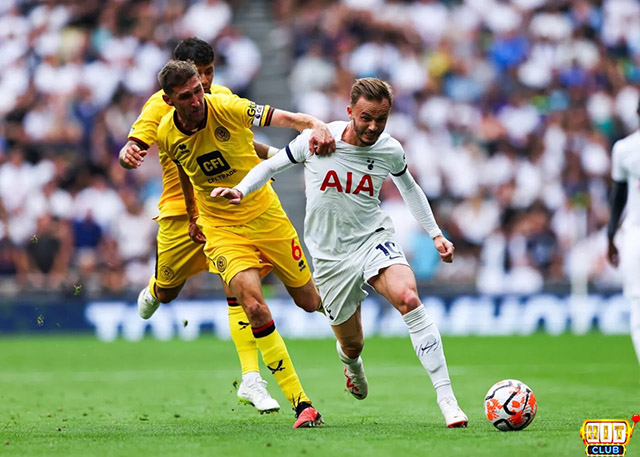 Dự đoán Tottenham vs Sheffield 21h ngày 16/9 ở Hitclub8