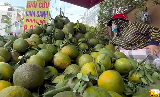 Nằm mơ thấy cam sành chín