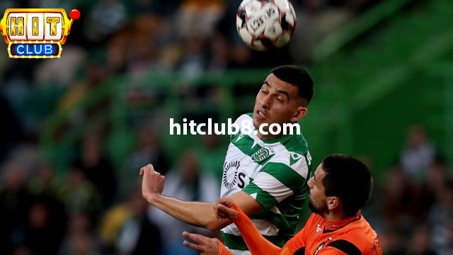Đội hình dự kiến của hai đội Portimonense vs Sporting