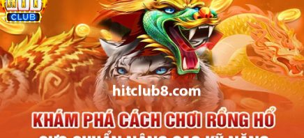 Chơi Rồng Hổ nâng cao - Các kiểu cược phổ biến