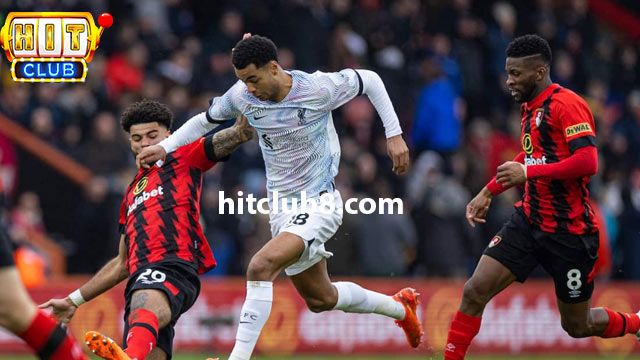 Đội hình dự kiến của hai đội Bournemouth vs Liverpool