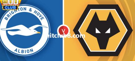 Dự đoán Brighton vs Wolves 02h45 ngày 23/1