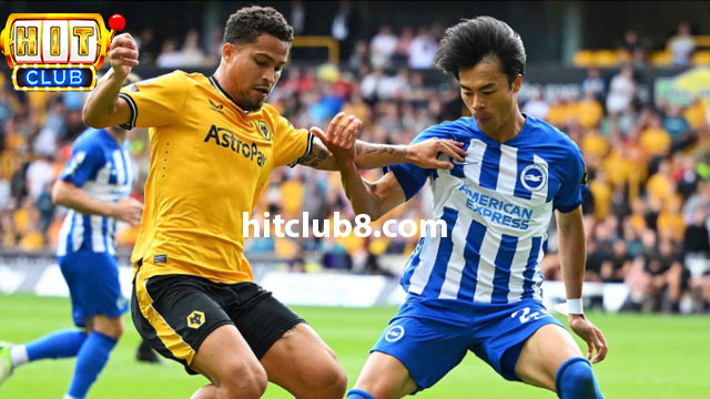 Đội hình dự kiến của hai đội Brighton vs Wolves