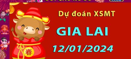 Soi cầu xổ số Gia Lai 12/01/2024 – Dự đoán XSMT trên Hitclub8