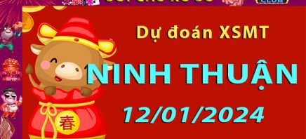 Soi cầu xổ số Ninh Thuận 12/01/2024 – Dự đoán XSMT trên Hitclub8