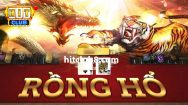 Cược hòa trong game Rồng Hổ - 3 cách dễ thắng