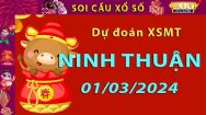 Soi cầu xổ số Ninh Thuận 01/03/2024 – Dự đoán XSMT trên Hitclub8